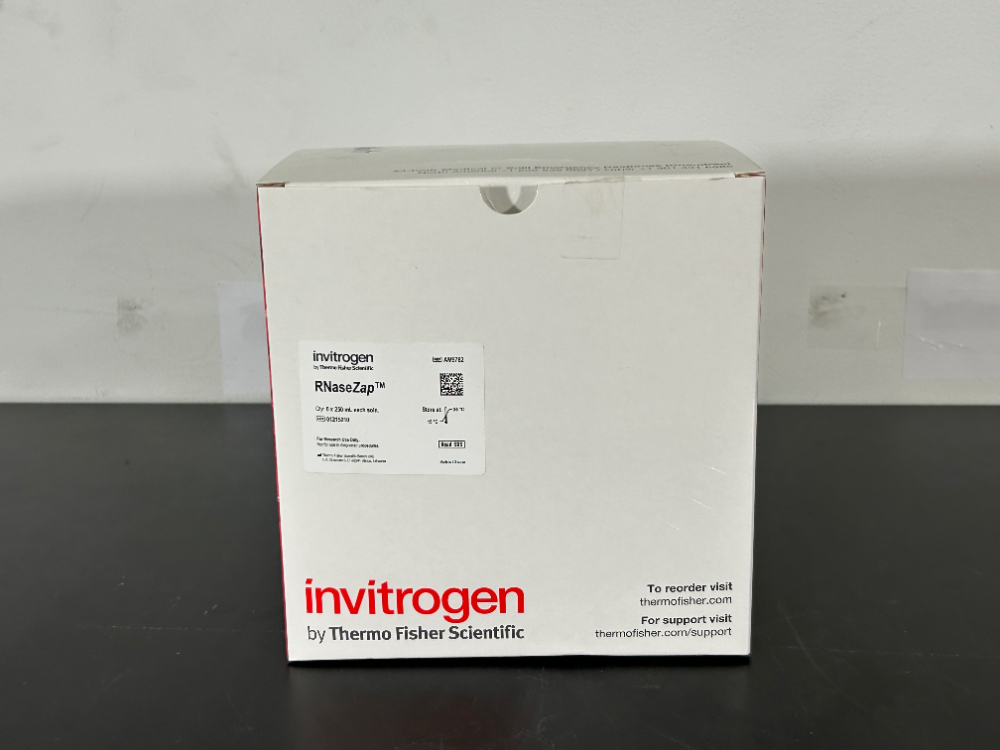 Image of Invitrogen RNaseZap Solution